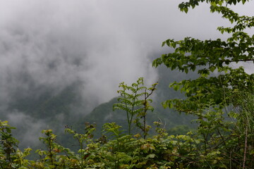 Wall Mural - PAESAGGIO MONTANO CON NEBBIA,GIFFONI VALLE PIANA,SUD ITALIA,15 MAGGIO 2023.