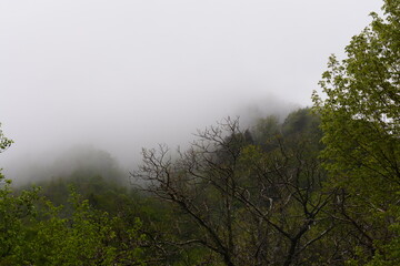 Wall Mural - PAESAGGIO MONTANO CON NEBBIA,GIFFONI VALLE PIANA,SUD ITALIA,15 MAGGIO 2023.