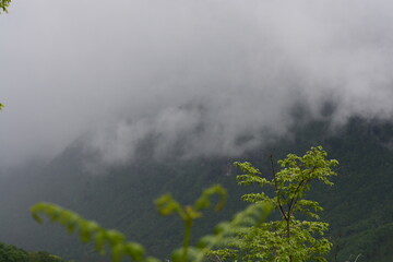 Wall Mural - PAESAGGIO MONTANO CON NEBBIA,GIFFONI VALLE PIANA,SUD ITALIA,15 MAGGIO 2023.