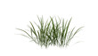 © snesivan - Bunches of grass on a transparent background. 3D rendering.