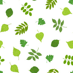 Wall Mural - Botanical background with green leaves and branches. Vector seamless pattern. Cartoon floral illustration.