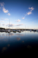 Wall Mural - A dock with sailboats in the evening sun