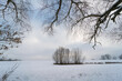 Zimowy pejzaż z konarami drzew na pierwszym planie.