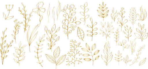 Big hand drawn colorful gold plant set - universally usable. Botanical, chic and trendy plants. Hand drawn lines, elegant leaves for your own design. Flower branch and minimalistic modern plants.