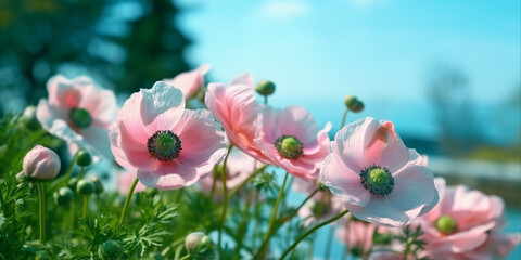 Wall Mural - Japanese anemone against a blue sky, banner , AI Generated