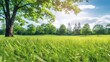 © Viktor - Beautiful blurred background image of spring nature with a neatly trimmed lawn surrounded by trees against a blue sky with clouds on a bright sunny day. Generative AI