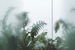 Tropical plants behind frosted glass. AI generated image.	
