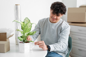 Poster - Young man wrapping houseplant with stretch film in kitchen