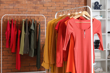 Wall Mural - Rack with stylish female clothes in modern boutique