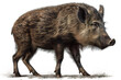 A wild boar is standing on the ground. Generative AI.
