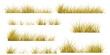 © Cyudeshbuhu - brown grass set. autumn grass. dry grass