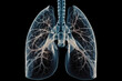 Respiratory system illustration, human lungs x-ray. Generative AI