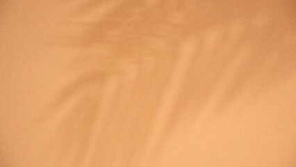 Palm leaves and their shadow on an orange background. Summer concept. Shadows of tropical leaves of a palm tree on a light brown background. Top view, flat lay.