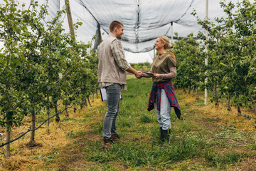 Wall Mural - A man and a woman shake hand in the fruit farm.