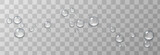 Fototapeta Łazienka - Vector drops of water. Drops png. Drops on the surface, on the glass png. Drops after rain. Condensation on the surface, on the glass.