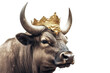 Beautiful African Buffalo In Gold Crown On White Background. Generative AI