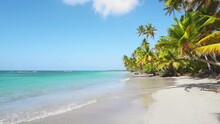 Summer At The Philippine Seaside Resort. Bright Coconut Palms On White Sand. Palm Beach On The Sandy Coast At The Blue Edge Of The Water. Seascape Travel And Vacation. Travel To Tropical Paradise.