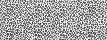 Leopard Pattern. White And Black. Animal Print Background For Fabric, Textile, Design. Animal Print. Vector Background EPS 10