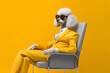 A poodle in a yellow suit and glasses is sitting in a chair on a yellow background. The concept of animal care. Generative ai.
