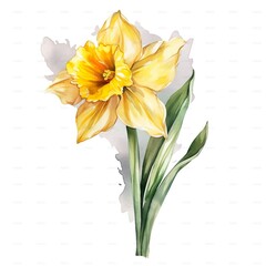 Wall Mural - Amazing and attractive image of daffodil AI-Generated