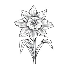 Wall Mural - Amazing and attractive image of daffodil AI-Generated