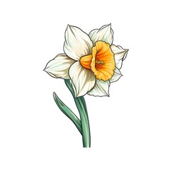 Wall Mural - Amazing and attractive image of daffodil AI-Generated