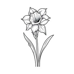 Wall Mural - Amazing and attractive image of daffodil AI-Generated
