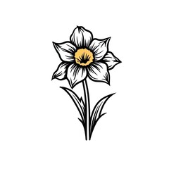 Wall Mural - Amazing and attractive image of daffodil AI-Generated