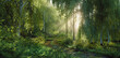 © malp - A lush mixed forest of birches and conifers in the evening light in a fine misty haze that, together with the trees, creates volumetric rays of sunlight illuminating the forest path. 3d rendering.