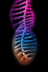 Aufkleber -  A composite image combining a DNA molecule and a human fingerprint, symbolizing the individuality Generative AI technology.