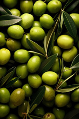 Wall Mural - olives on a branch