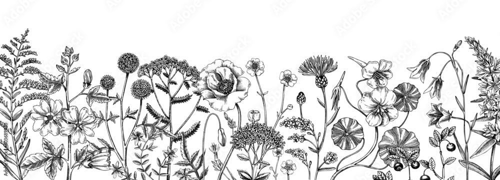 Summer background with field flowers in sketch style. Hand drawn ...