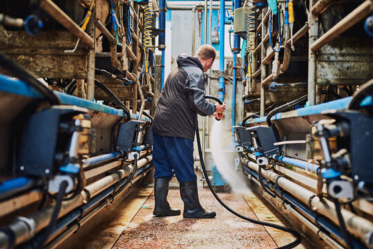 Man, machine or farmer cleaning in factory hosing off a dirty or messy floor after dairy milk production. Cleaner, farming industry or worker working with water hose for healthy warehouse machinery