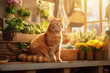Big ginger cat sits on the counter of a rural farm shop. Small family business on an ecological vegetable farm. Generated by AI