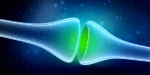 Wall Mural - synapse and neuron cells sending electrical chemical signals. 3d rendering