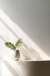 Backdrop for cosmetic product display: white vase with plant on white table counter in sunlight, shadow on beige paint wall for luxury beauty, cosmetic, organic, food supplement product background 3D
