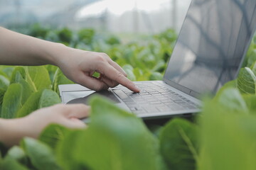 Asian woman farmer using digital tablet in vegetable garden at greenhouse, Business agriculture technology concept, quality smart farmer.