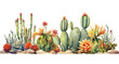 Watercolor Cactus white Background ,transparent background, PNG , Generative AI
