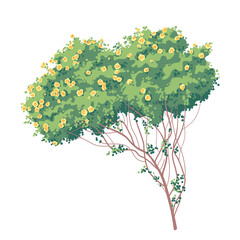 Wall Mural - simple old bush with yellow roses