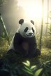 Panda Bear Design in the Nature created with Generative Ai Technology, Ki, Generative Ai, Generative