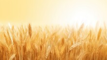  A Close Up Of A Wheat Field With The Sun Shining In The Background And A Blurry Image Of Wheat Stalks In The Foreground.  Generative Ai