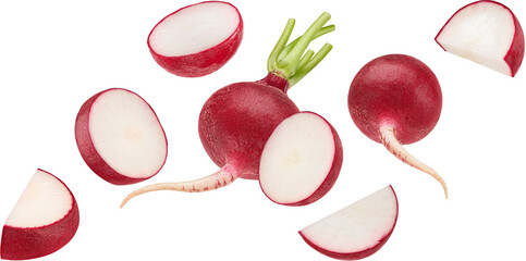 Wall Mural - falling radish isolated on white background