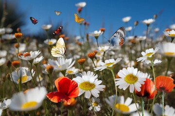 Wall Mural -  wild flower blooming field of cornflowers and daisies flowers ,poppy flowers, blue sunny sky ,butterfly and bee on flowers summer landscap,generated ai