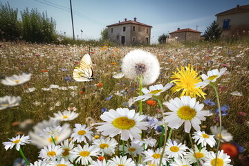 Wall Mural -  wild flower blooming field of cornflowers and daisies flowers ,poppy flowers, blue sunny sky ,butterfly and bee on flowers summer landscap,generated ai