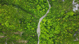 Fototapeta Natura - River in deep canyon on mountain. Green trees growing on mountain in spring. 