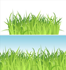 Poster - two grass backgrounds / vector / Contains the separated layers