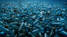 Plastic Water Bottles Pollution