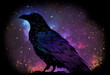 Raven made of the night sky; galaxy night sky raven silhouette design, cosmic jeweltone colors literary mystical, witchy vibe with nods to Odin and Edgar Allan Poe (generative AI, AI)