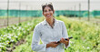 Leinwandbild Motiv Portrait, tablet and agriculture with a woman in a greenhouse on a farm for organic sustainability. Food, spring and a female farmer outdoor to manage fresh vegetables or produce crops for harvest