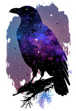 Raven Made Of The Night Sky; Galaxy Night Sky Raven Silhouette Design, Cosmic Jeweltone Colors Literary Mystical, Witchy Vibe Nods To Odin And Edgar Allan Poe; Transparent Layer (generative AI, AI)